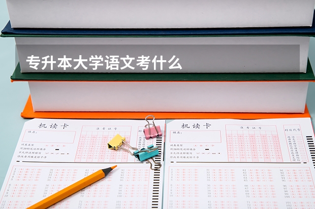 专升本大学语文考什么