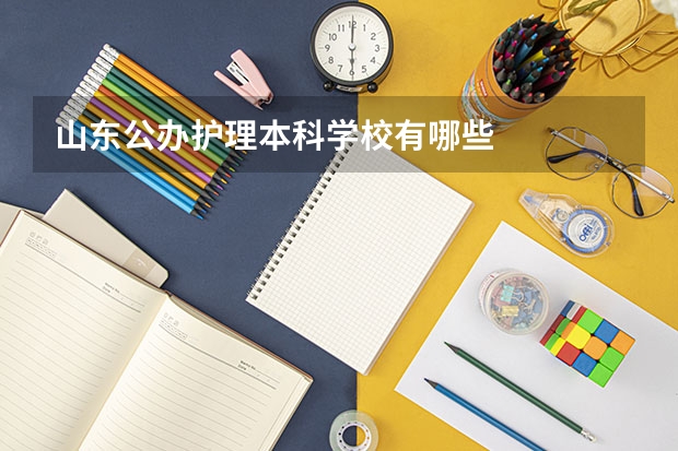 山东公办护理本科学校有哪些