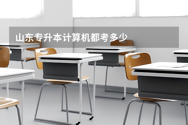 山东专升本计算机都考多少